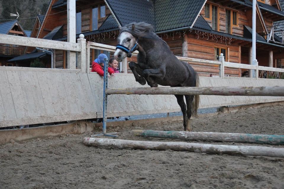 Ranczo W Dolinie Villa Kościelisko Buitenkant foto
